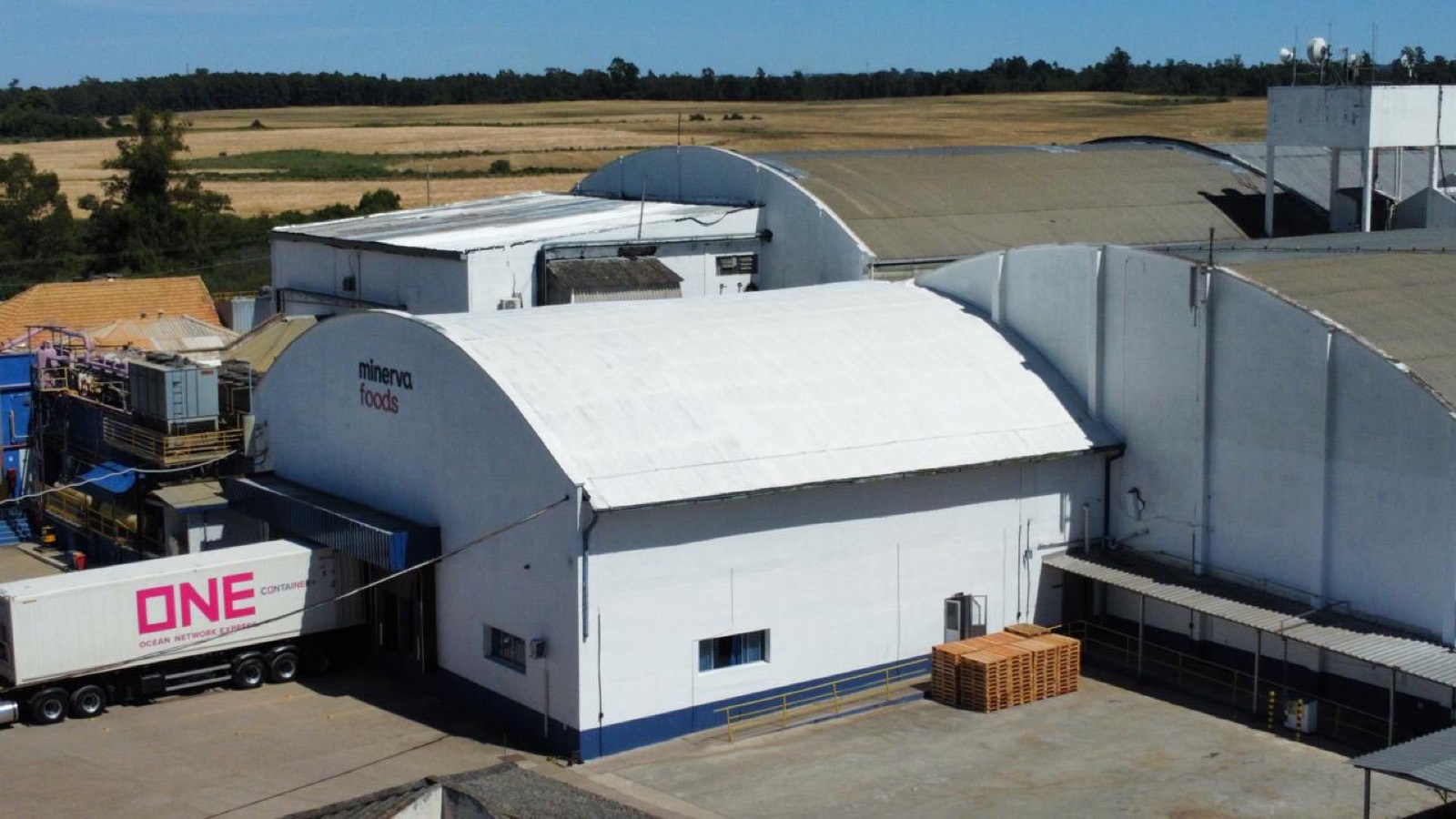 Cobertura industrial com ProtectRoof aplicado — Minerva Foods